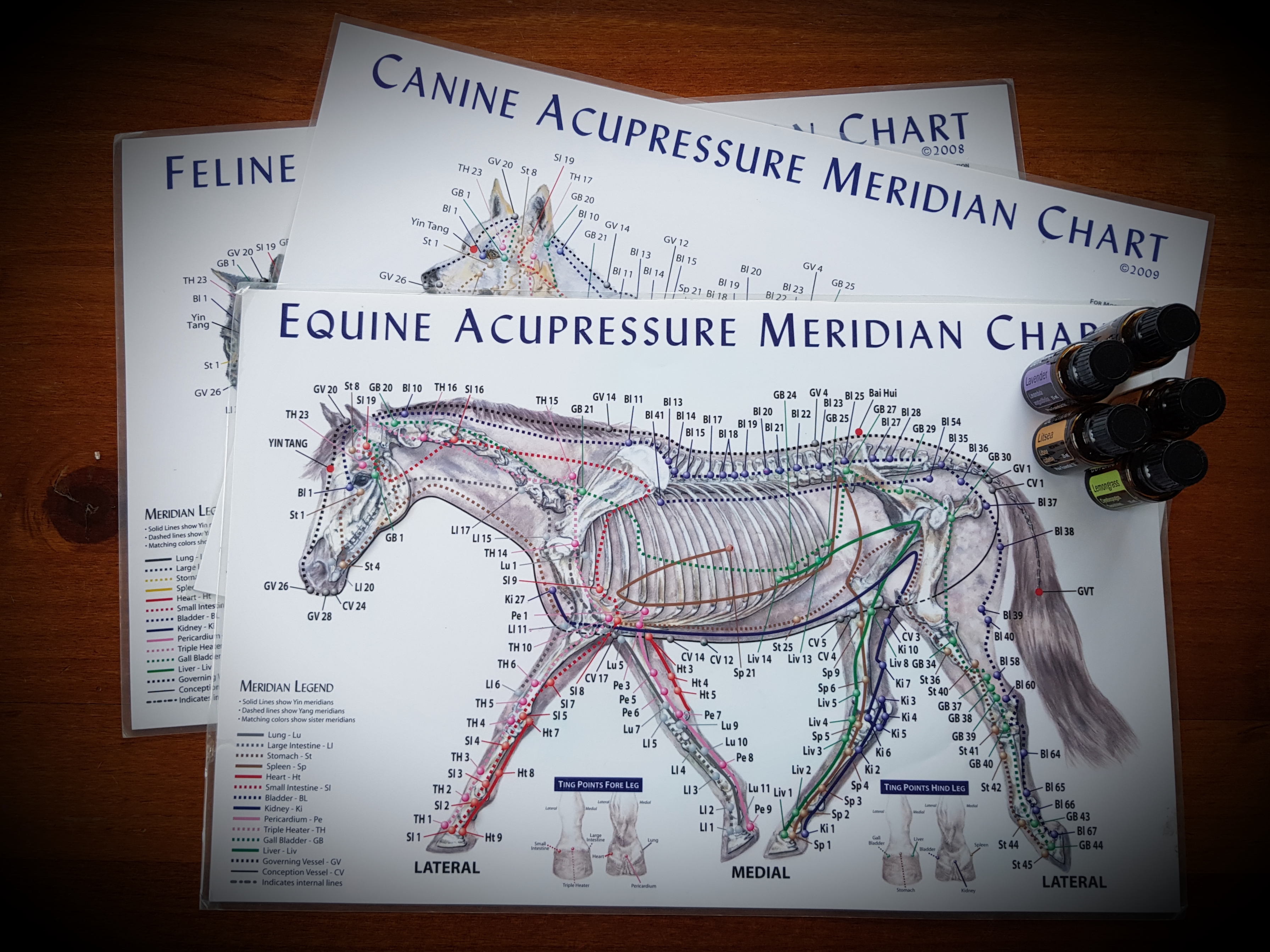 points acupressure