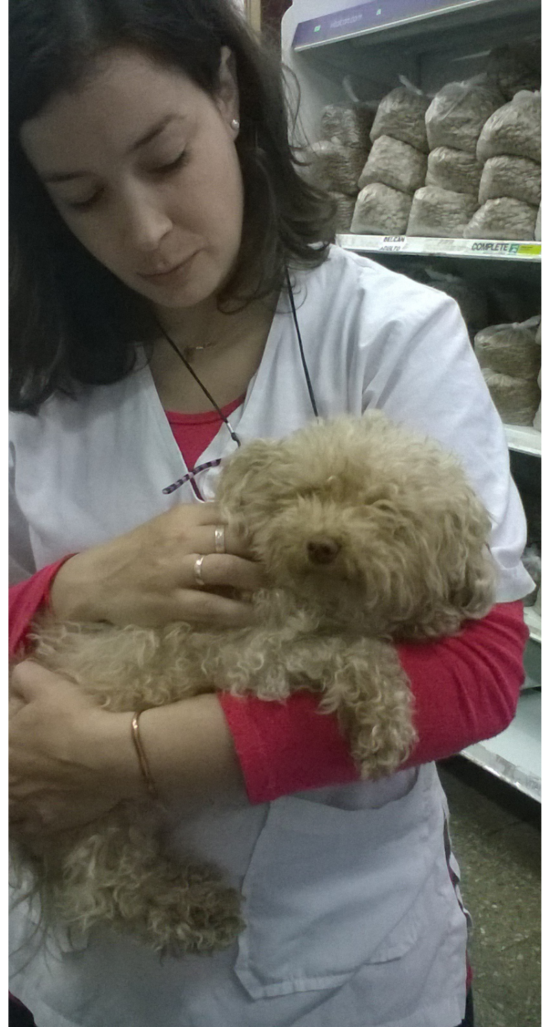 dog and me 2