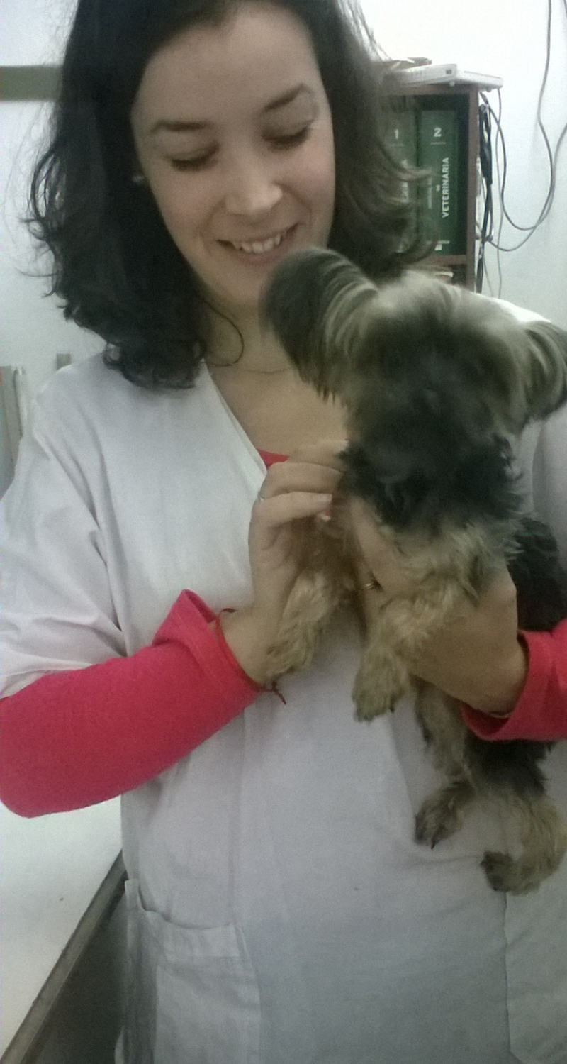 dog and me 3