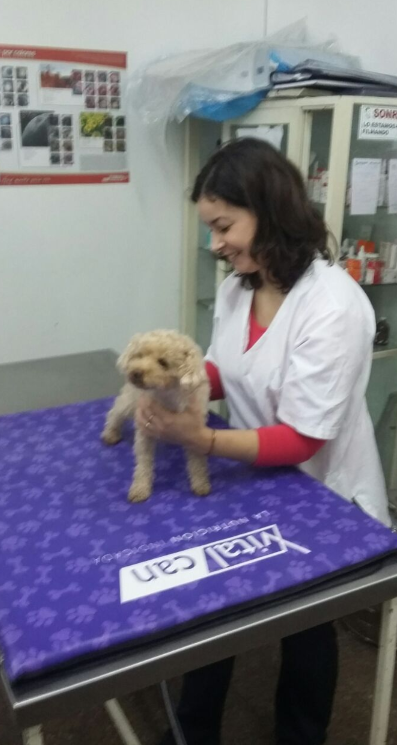 dog and me 4