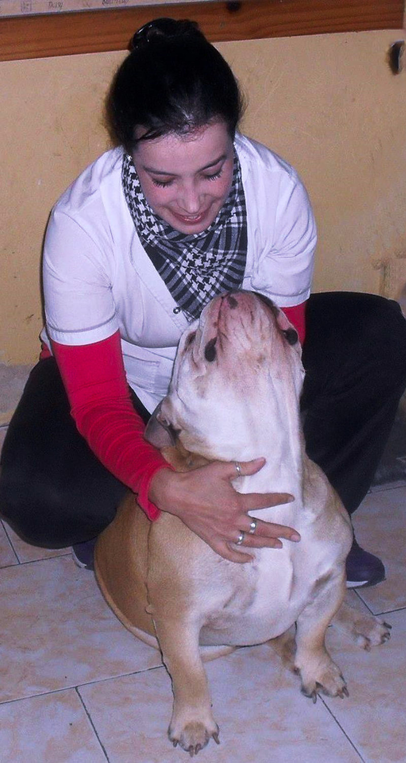 dog and me