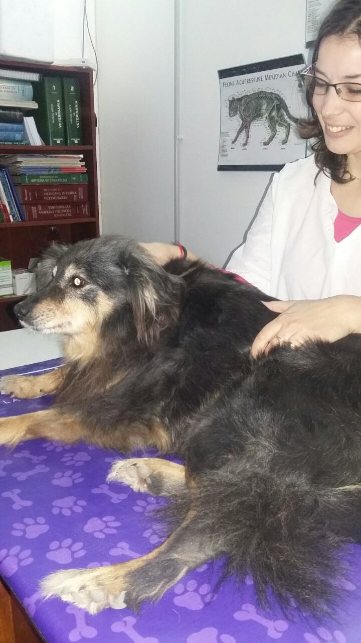 foto de coca