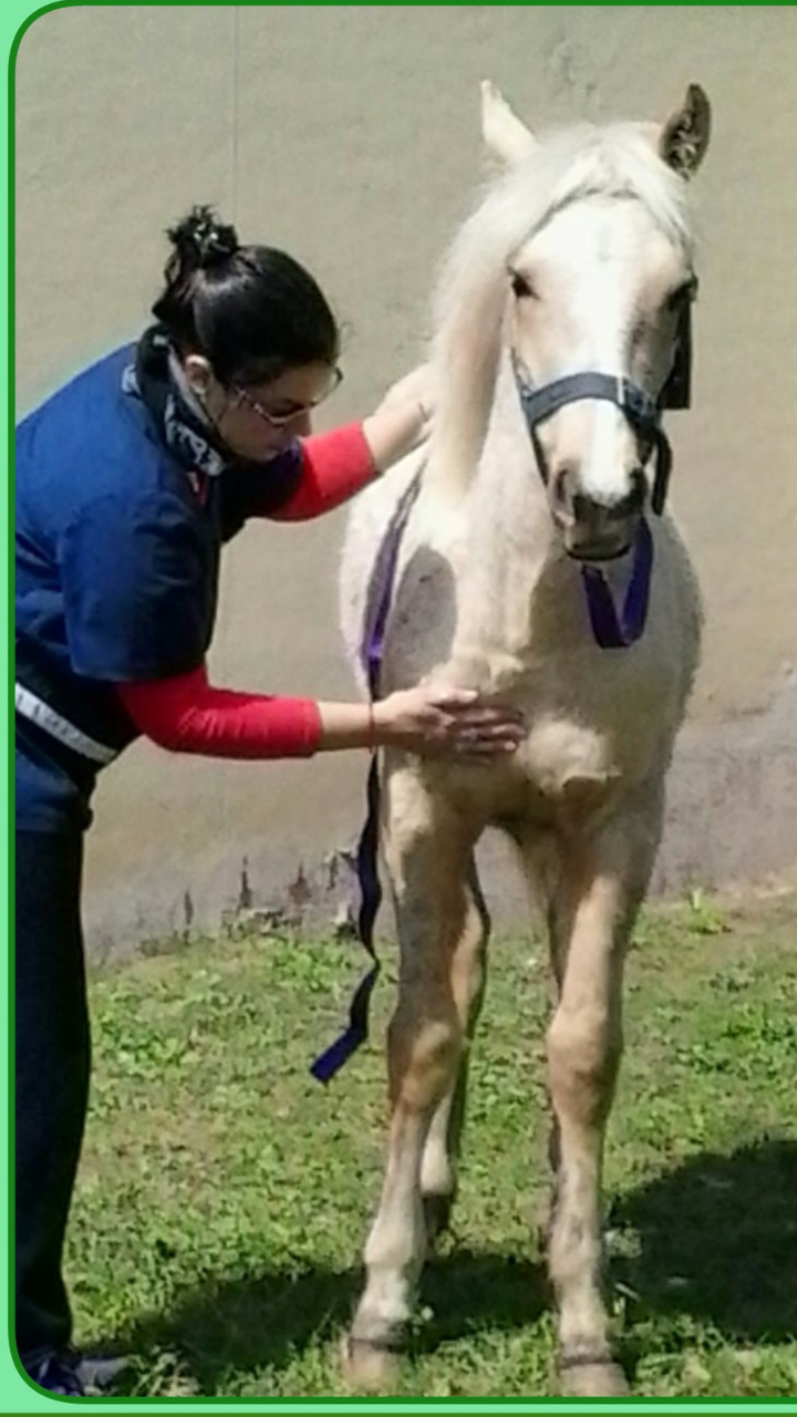 foto de matea