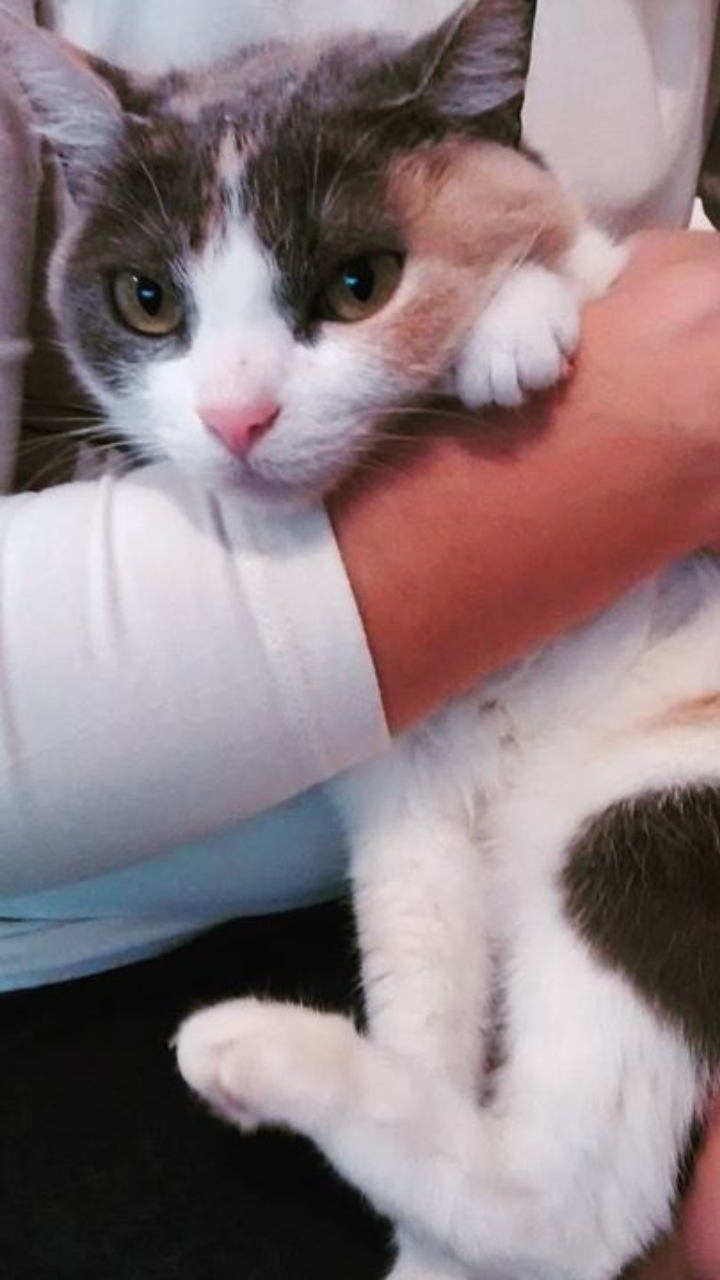 foto de mitsuki