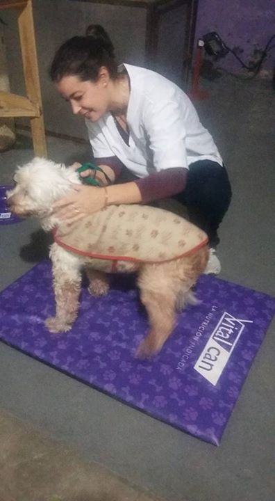 foto de pompon