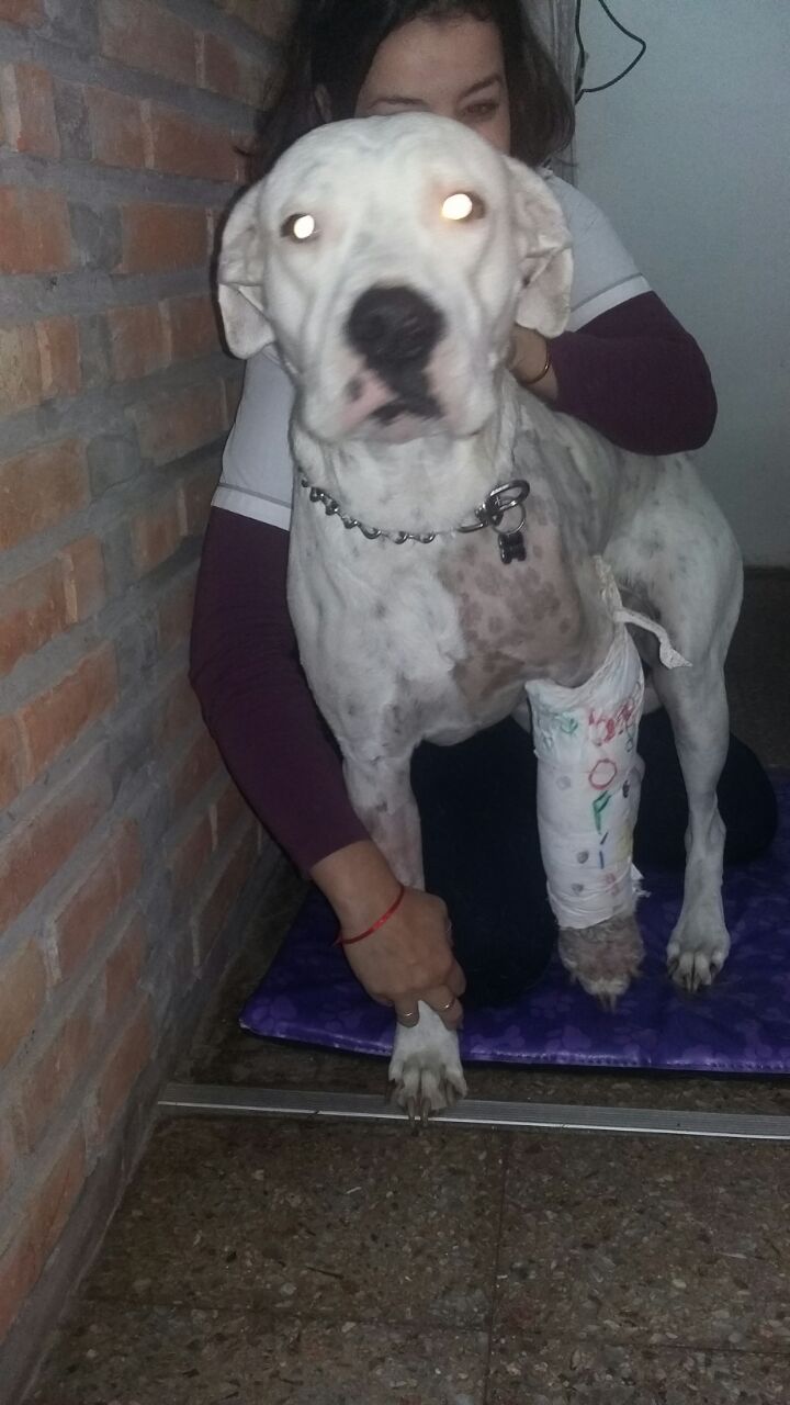 foto de sofia